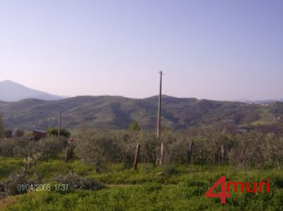 Vendita di terreno-agricolo a ascea